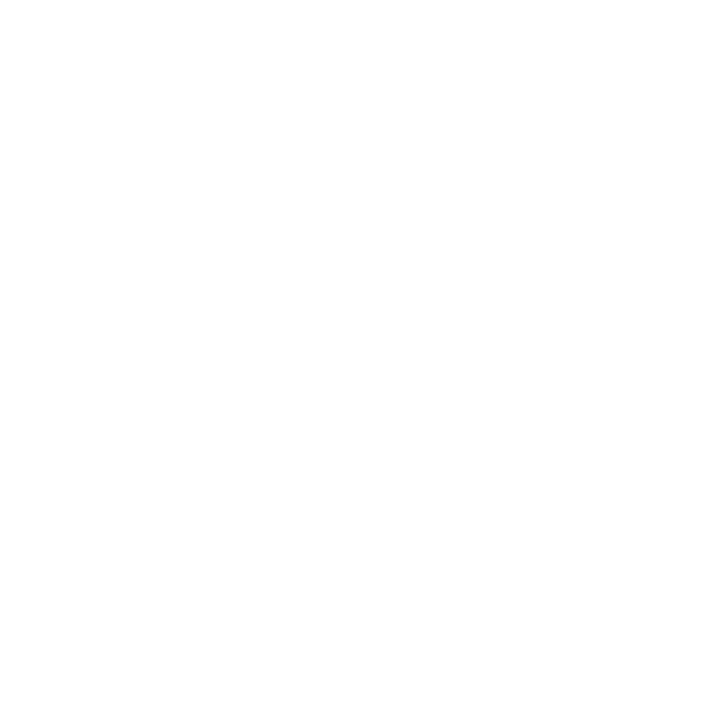 Turtle silhouette