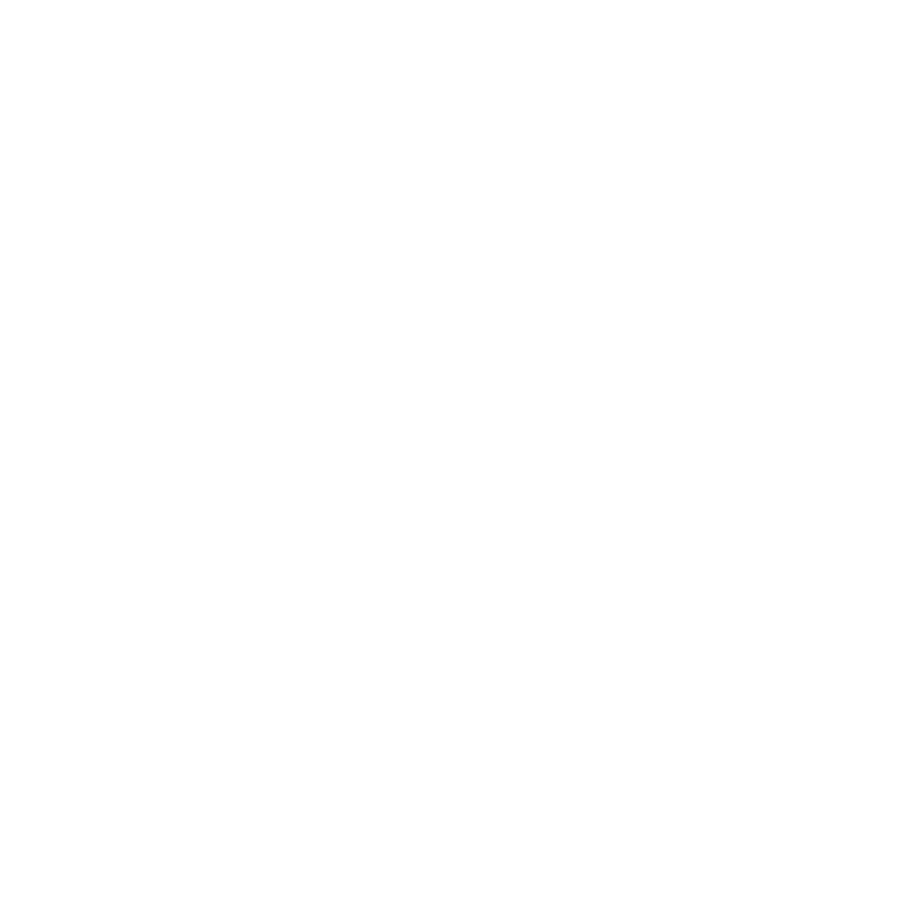 Stage 1 icon