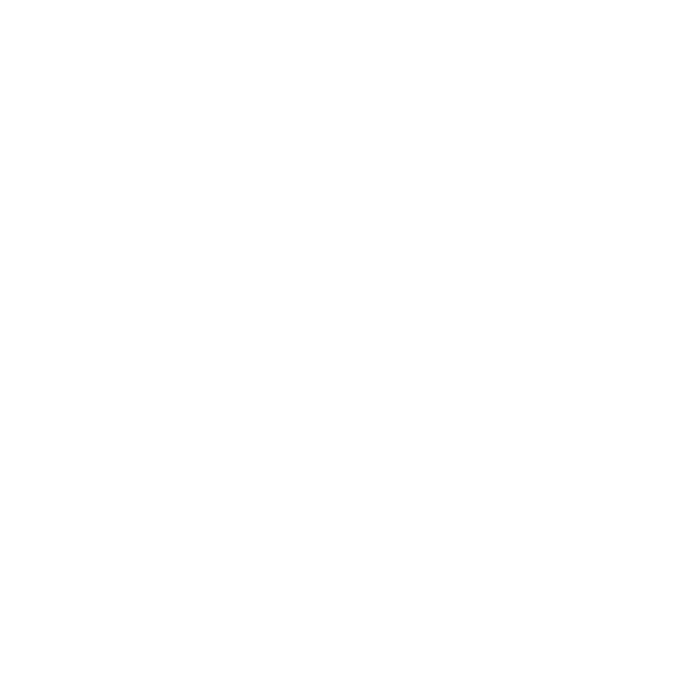 Stage 1 icon