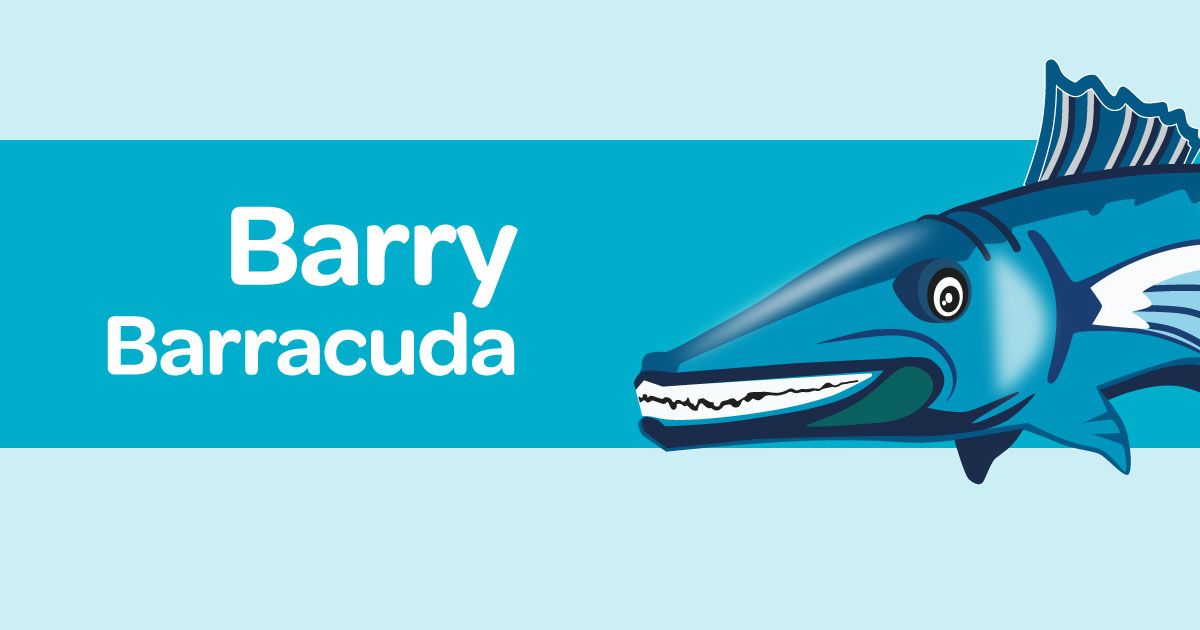 Barry Barracuda card