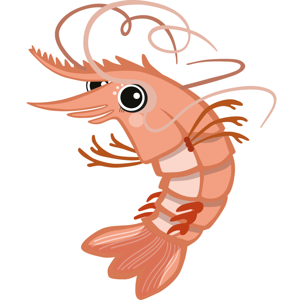 Polly Prawn