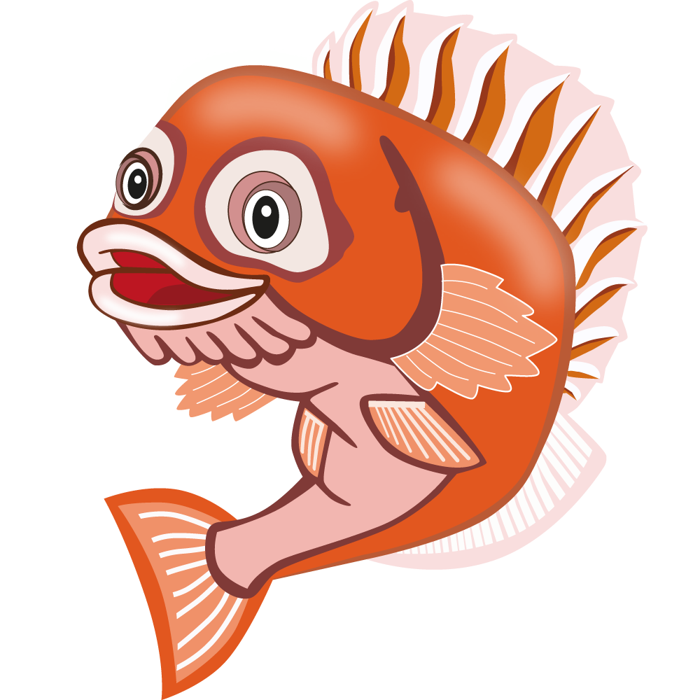 Rocco Rockfish