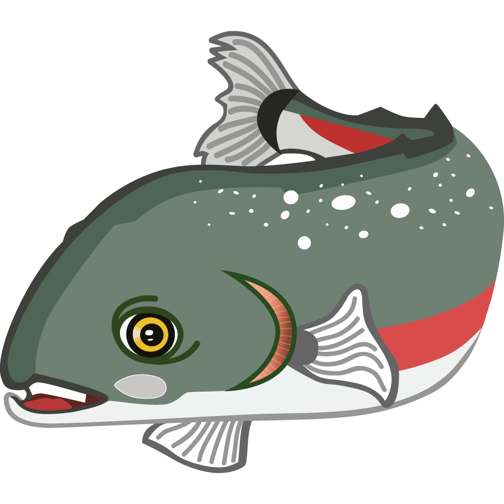 Suki Salmon
