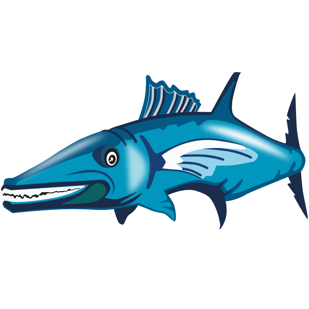Barry Barracuda