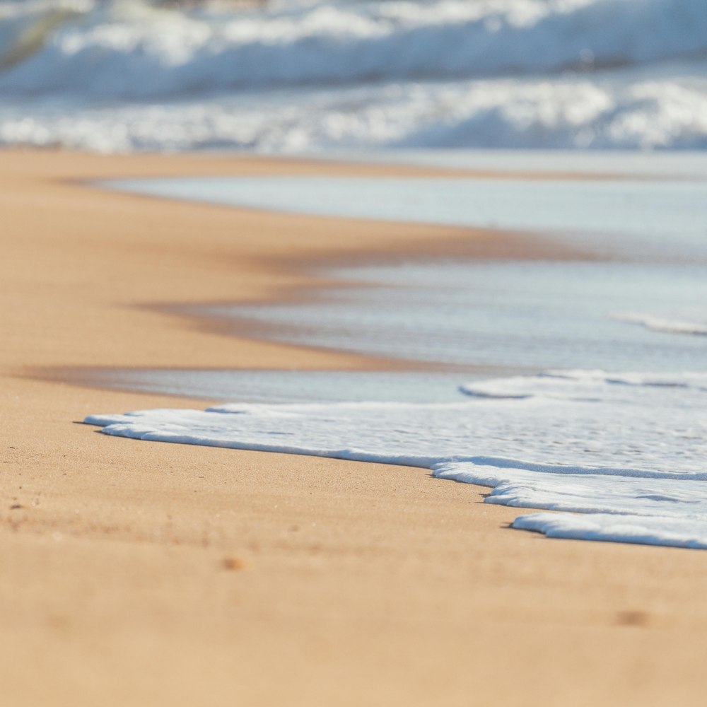 Buy into a Swimtime franchise now and you won’t be going against the tide