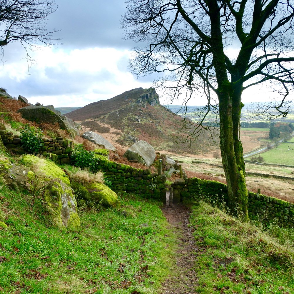 South Yorkshire